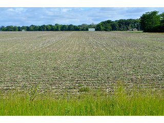 Property photo 25 - FARM & LAND AUCTION - 125+/- ACRES OFFERED IN 5 TRACTS IN EAST ALLEN COUNTY, INDIANA